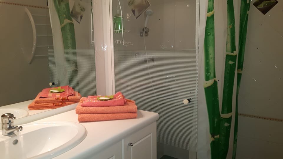 Triple Room (Bambous) | Bathroom | Shower, free toiletries, hair dryer, towels
