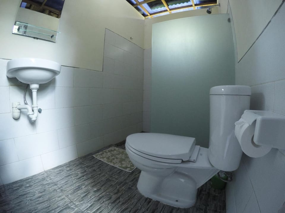 Shower, free toiletries, bidet, towels