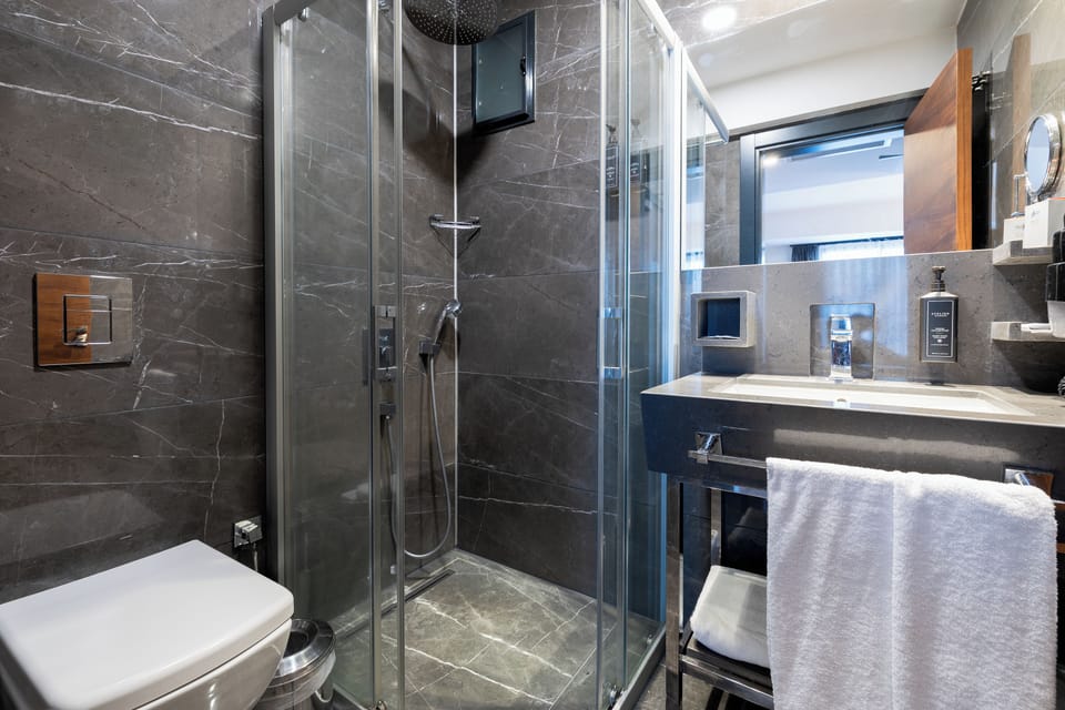 Standard Twin Room | Bathroom | Shower, free toiletries, hair dryer, slippers