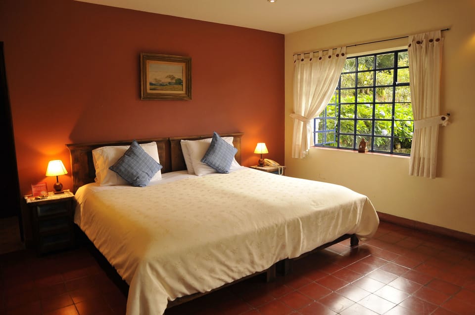 Premium Room, 1 King Bed | 1 bedroom, premium bedding, minibar, free WiFi