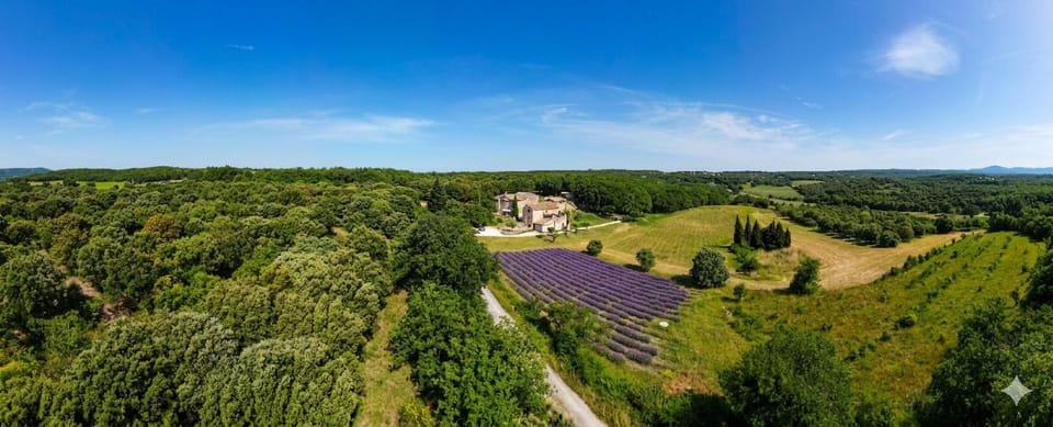 Comfort Double Room, Private Bathroom, Garden View (Chambre  Truffière) | View from property