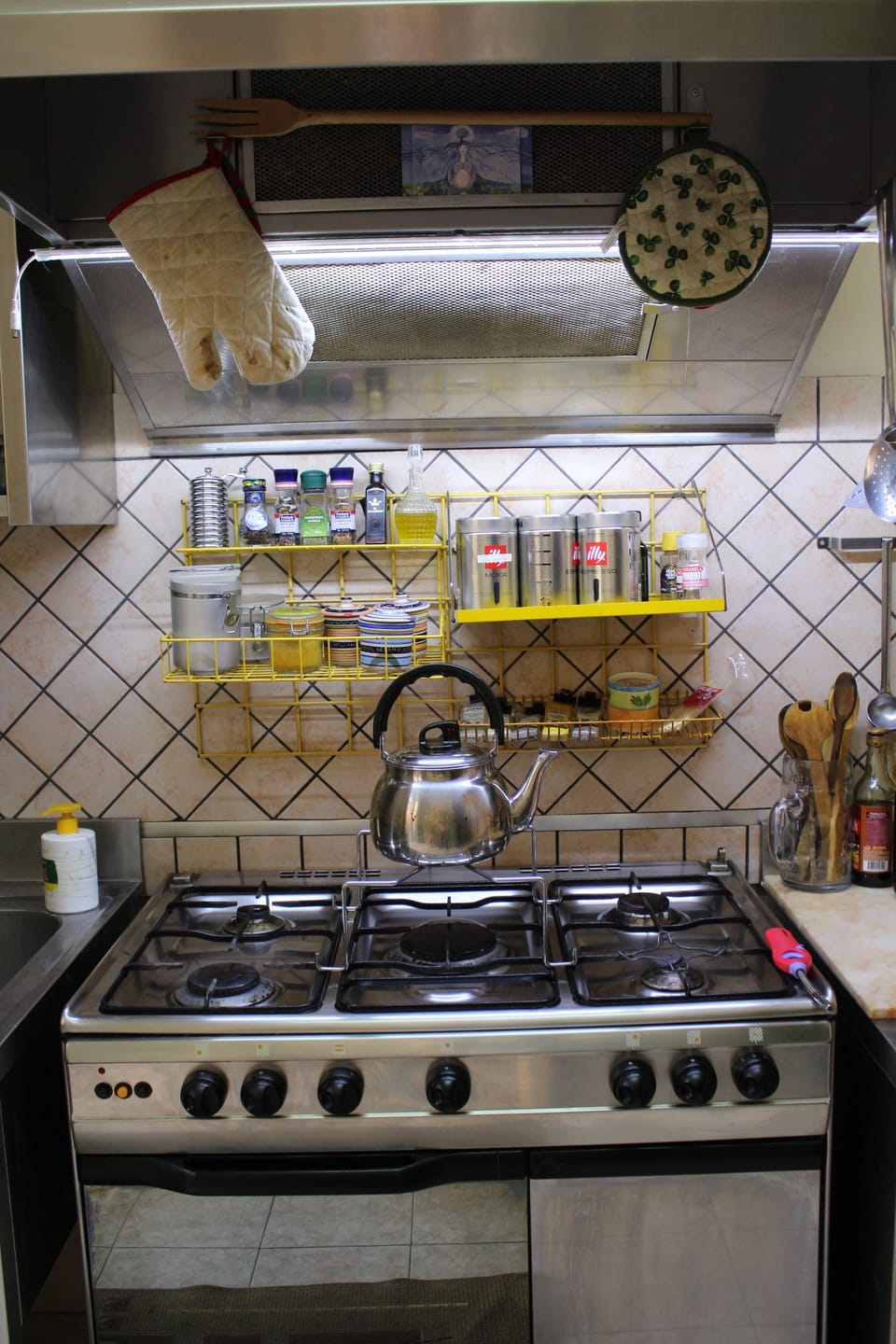 Full-size fridge, microwave, oven, coffee/tea maker
