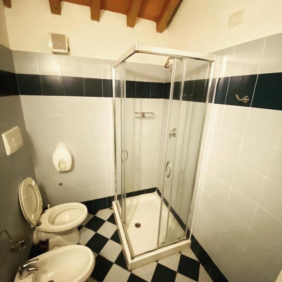 Shower, bidet, soap, toilet paper