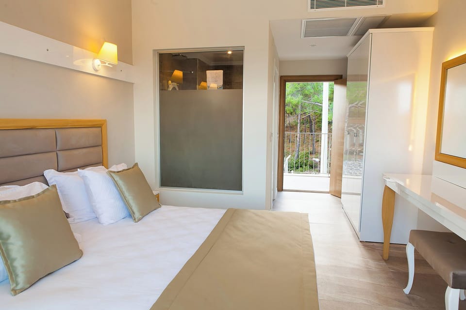 Minibar, in-room safe, soundproofing, WiFi (free)