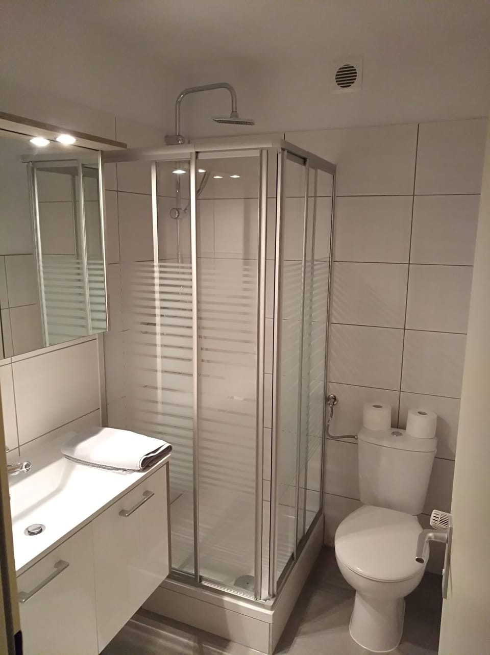 Classic Double Room | Bathroom | Shower, hair dryer, towels