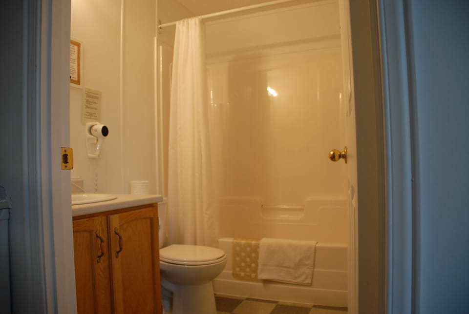 Combined shower/tub, free toiletries, hair dryer, towels