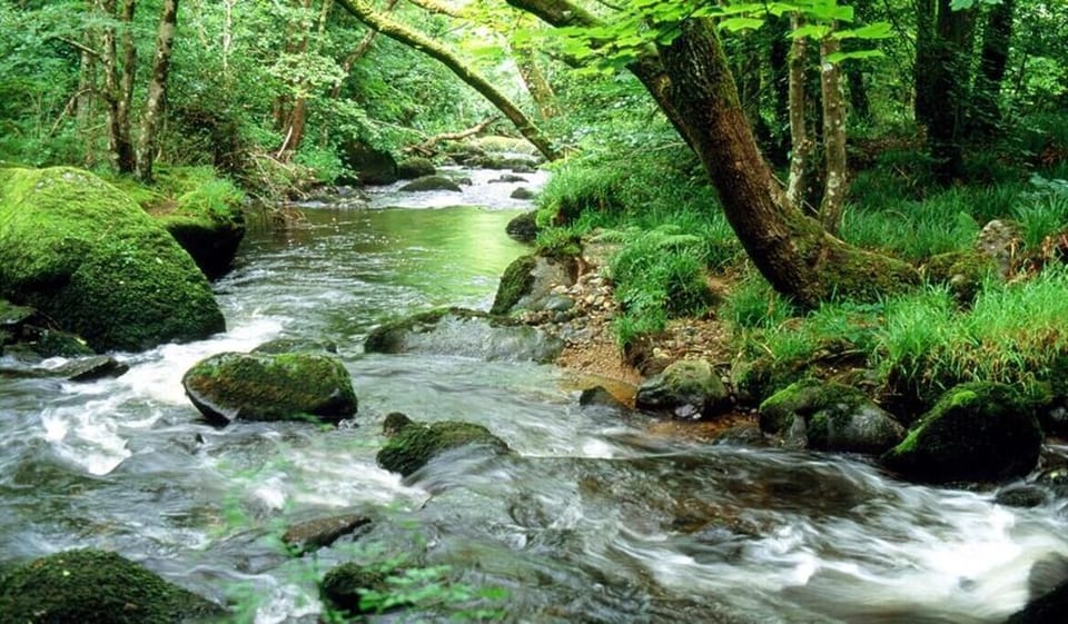 The river Teign is a few minutes walk from the front door