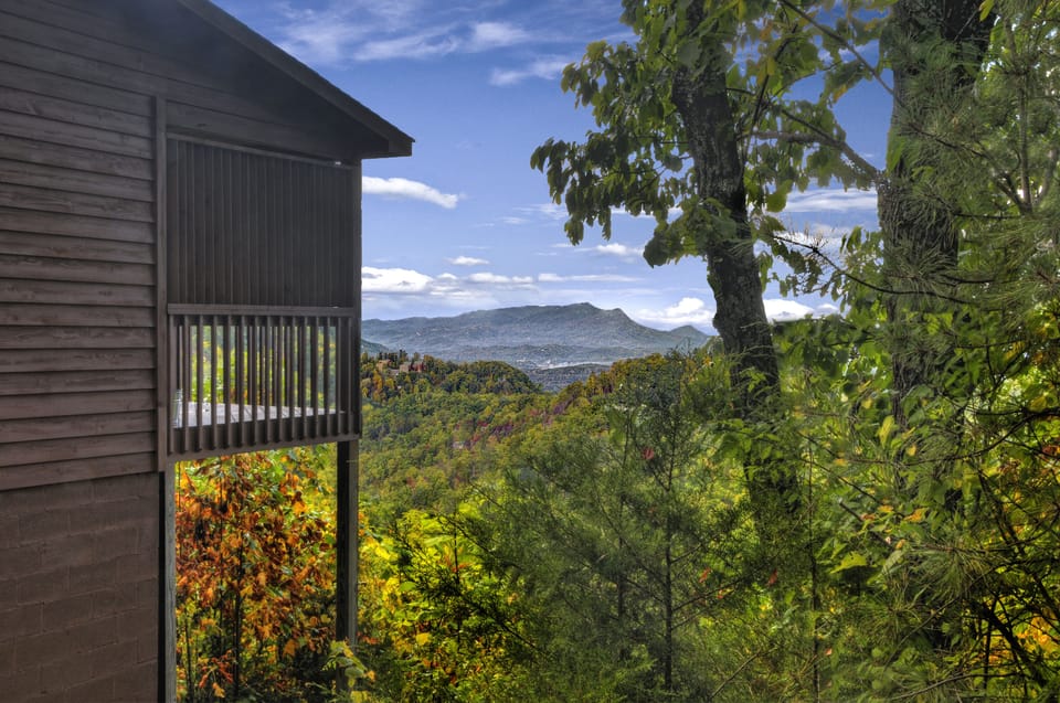 View from side yard