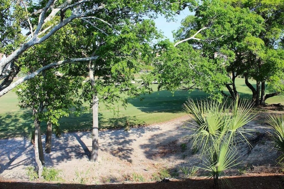 The backyard views are fantastic.