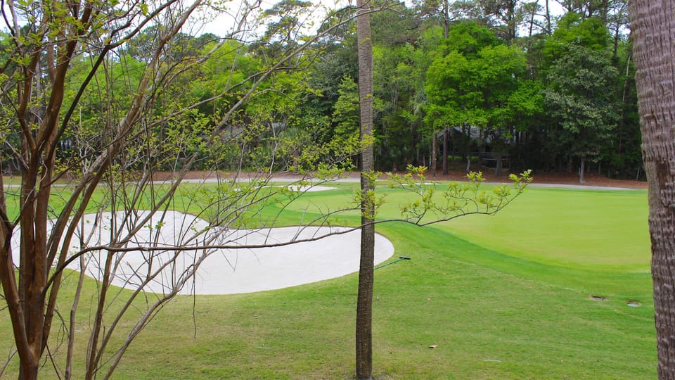 Watch the golfers hit the green and sink the putts on hole 5th green.