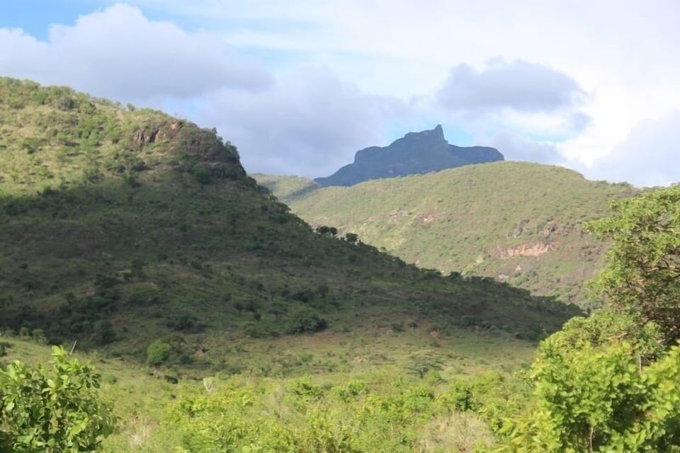 Mountain view