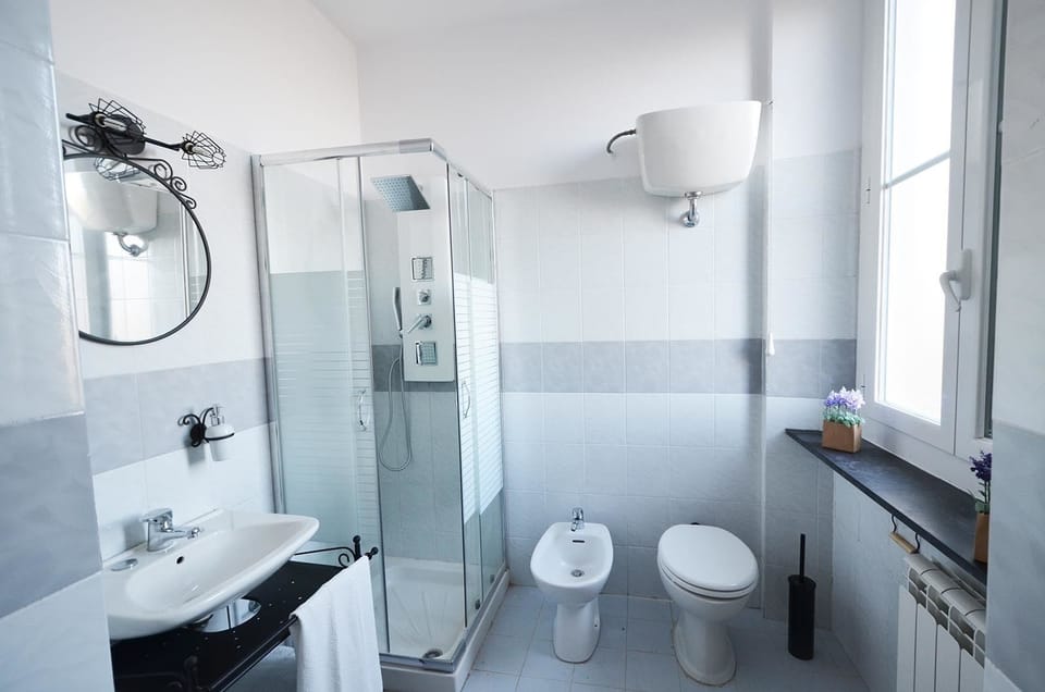 Double or Twin Room | Bathroom | Shower, hydromassage showerhead, hair dryer, towels
