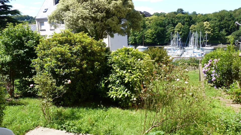 the garden