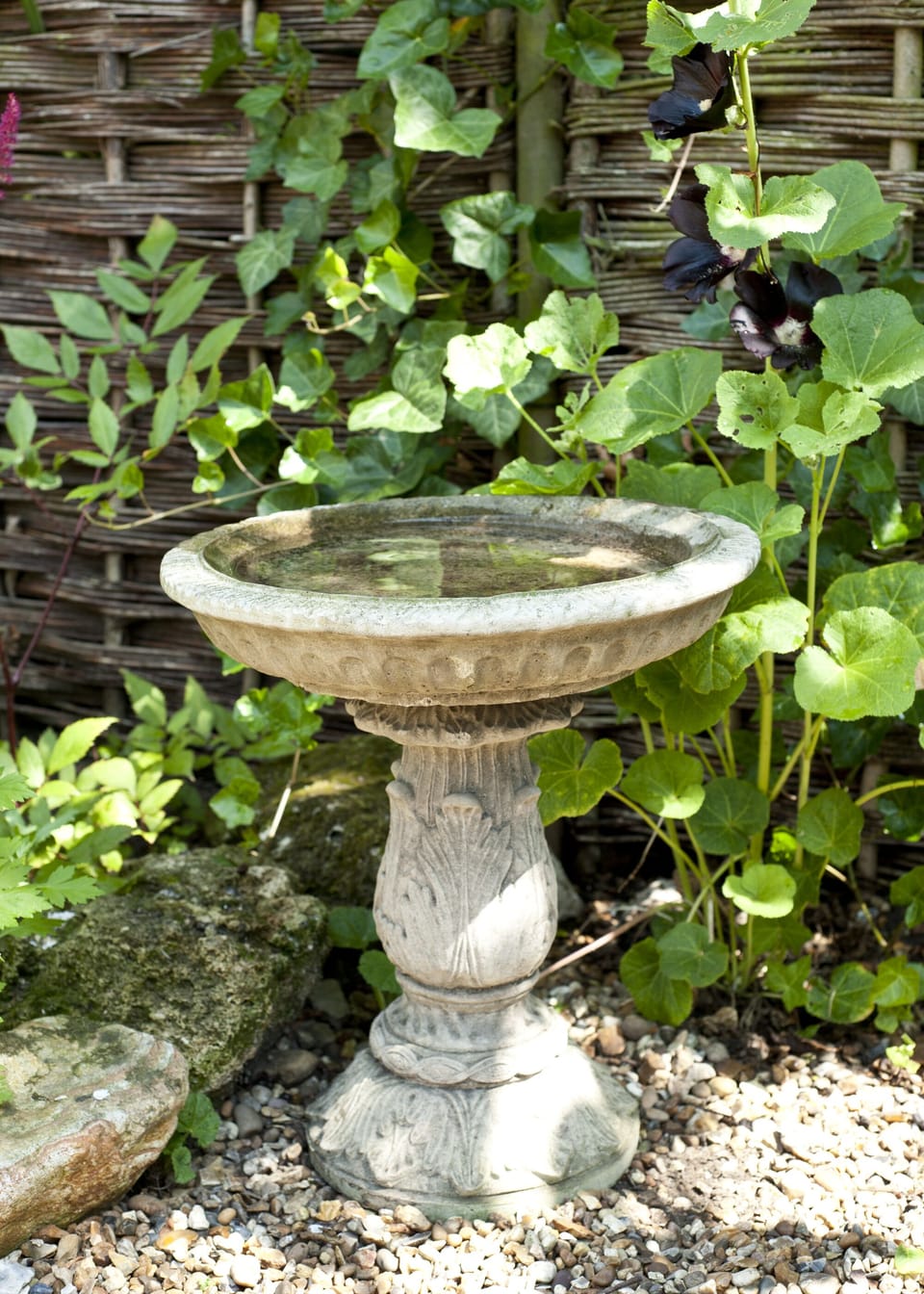 Bird Bath