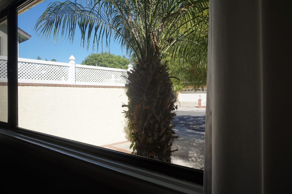 View from the room' swindow. Quiet neighborhood, great for a stroll.