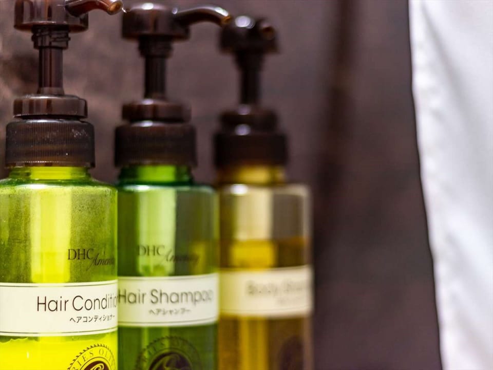 Combined shower/tub, free toiletries, hair dryer, slippers