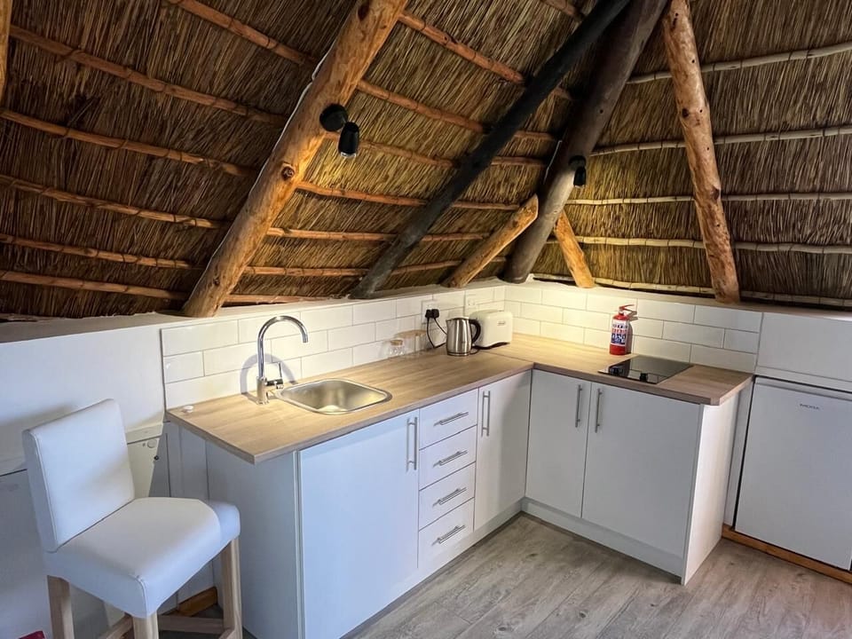 Luxury Suite | Private kitchen | Full-size fridge, microwave, oven, stovetop