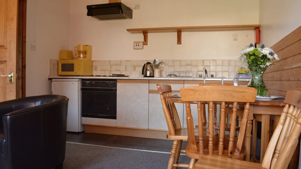 Family Apartment, Hill View (Anvil) | Private kitchen | Fridge, microwave, oven, stovetop