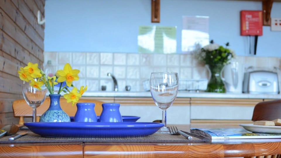 Family Apartment, 1 Bedroom, Mountain View, Lakeside (Forge) | Private kitchen | Fridge, microwave, oven, stovetop