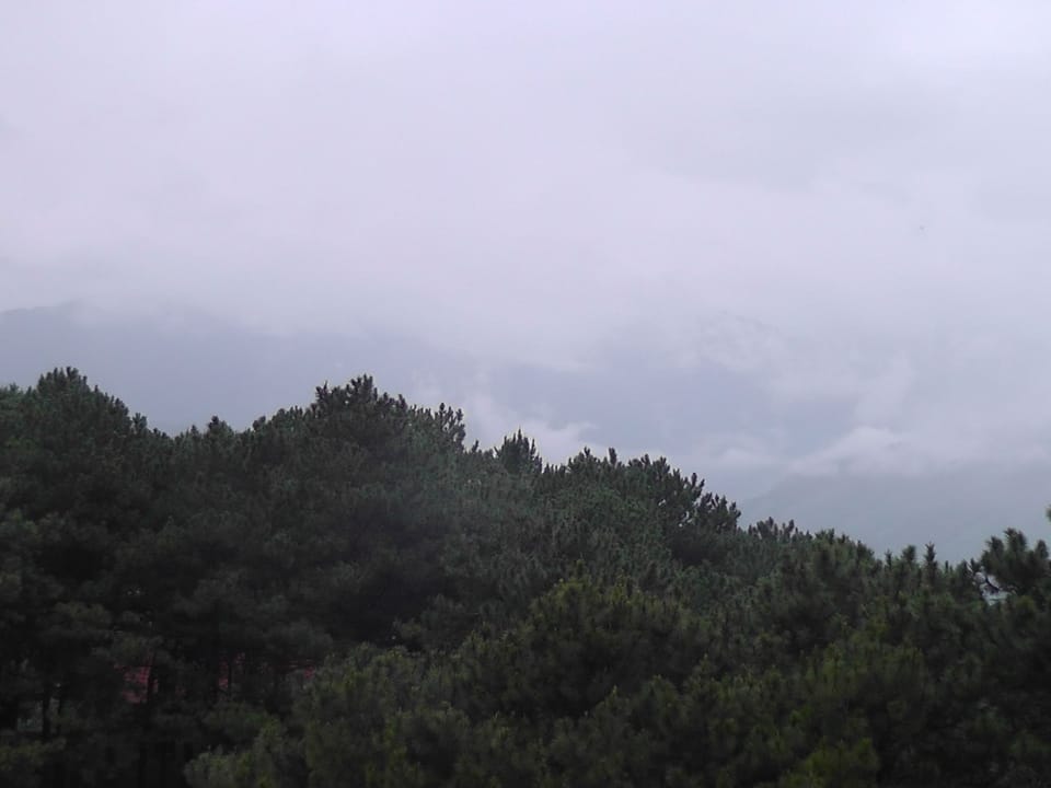 Mountain view