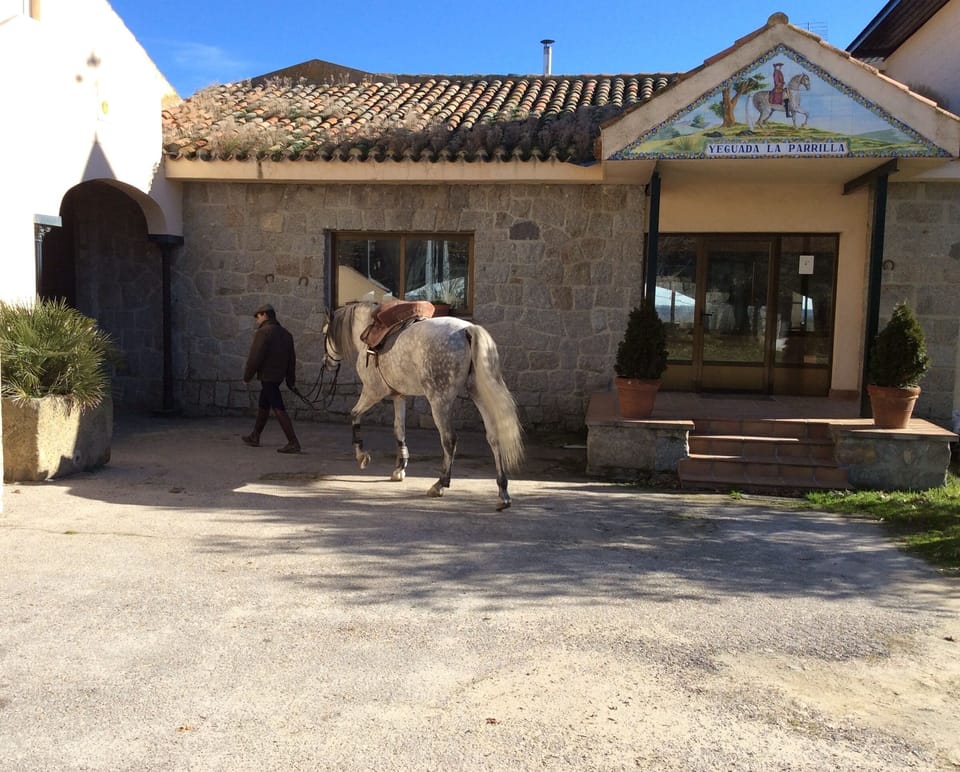 Horseback riding