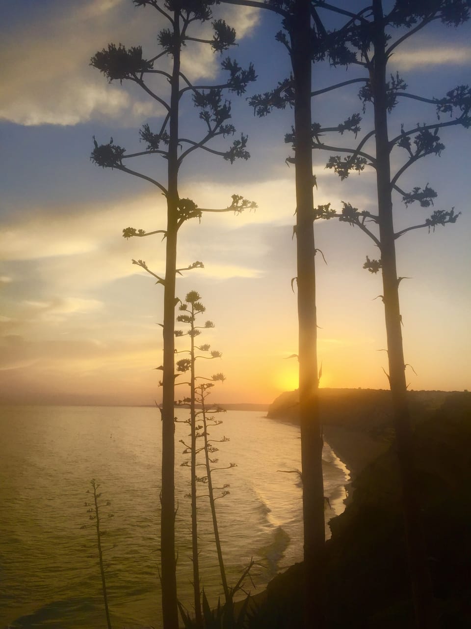 Clifftop walks at sunset ... the perfect way to end the day 