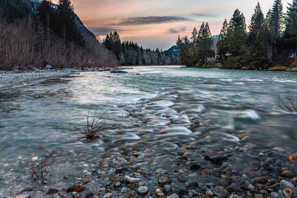 Summer in the river.