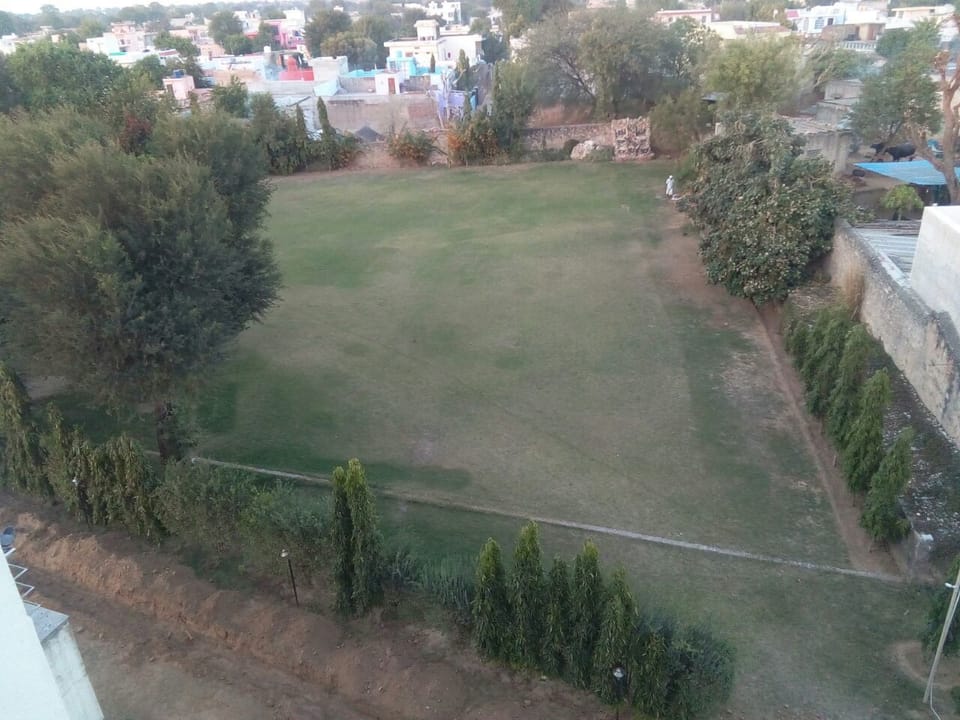 Garden