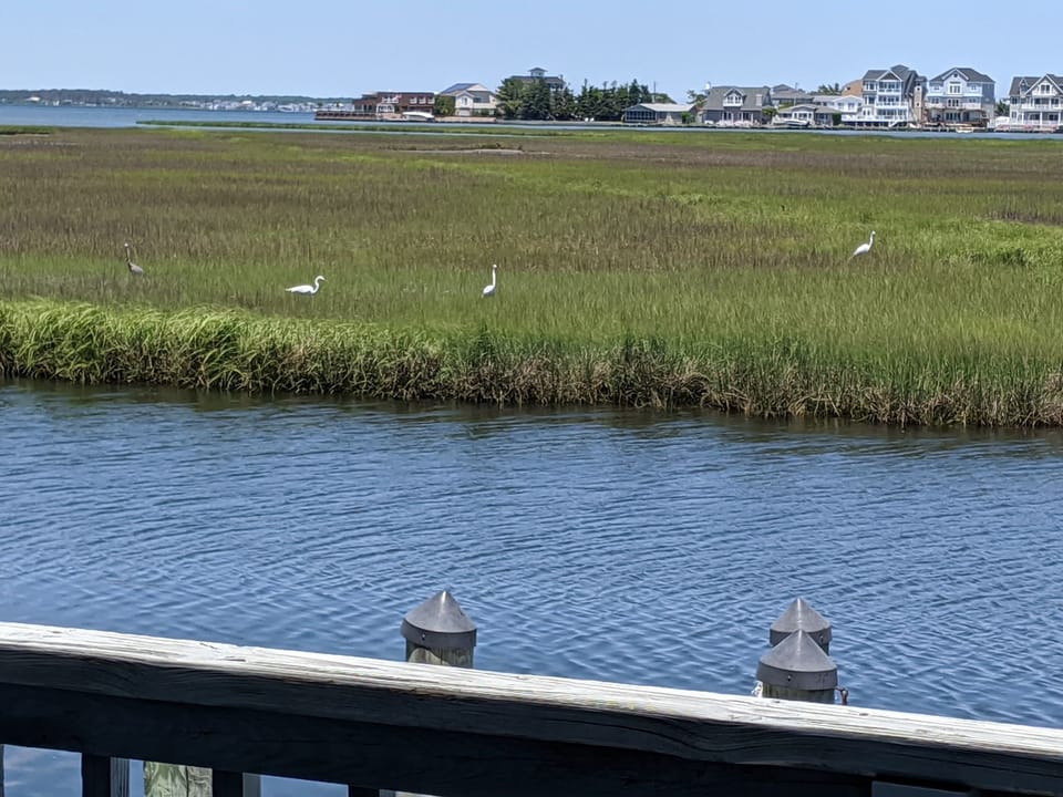 View from property