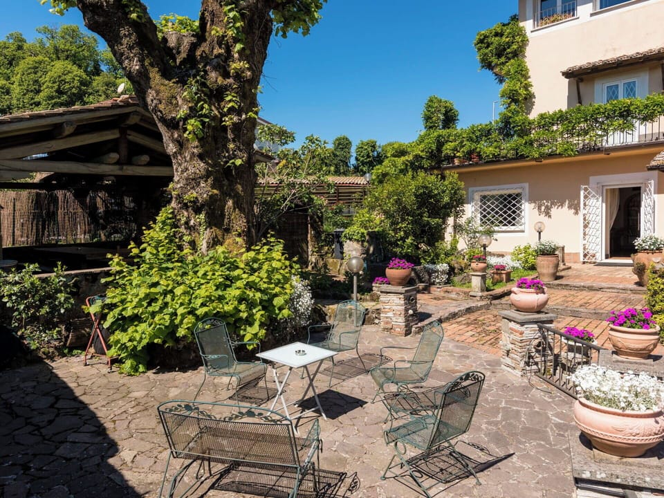 Shrub, Furniture, Flowerpot, Garden, Outdoor Furniture, Spring, Chair, Outdoor Table, Shade