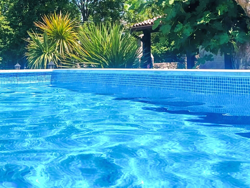 Water, Water Resources, Blue, Azure, Swimming Pool, Natural Landscape, Plant, Tree, Rectangle