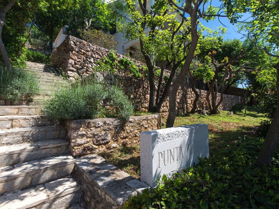 Plant, Plant Community, Leaf, Tree, Vegetation, Land Lot, Natural Landscape, Grass, Shade, Landscape