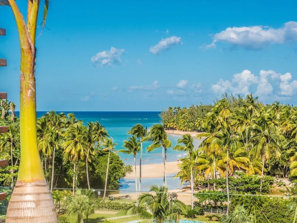 View of Las Ballenas Beach from the Penthouse Terrace 