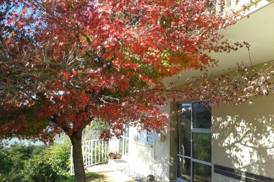 Autumn