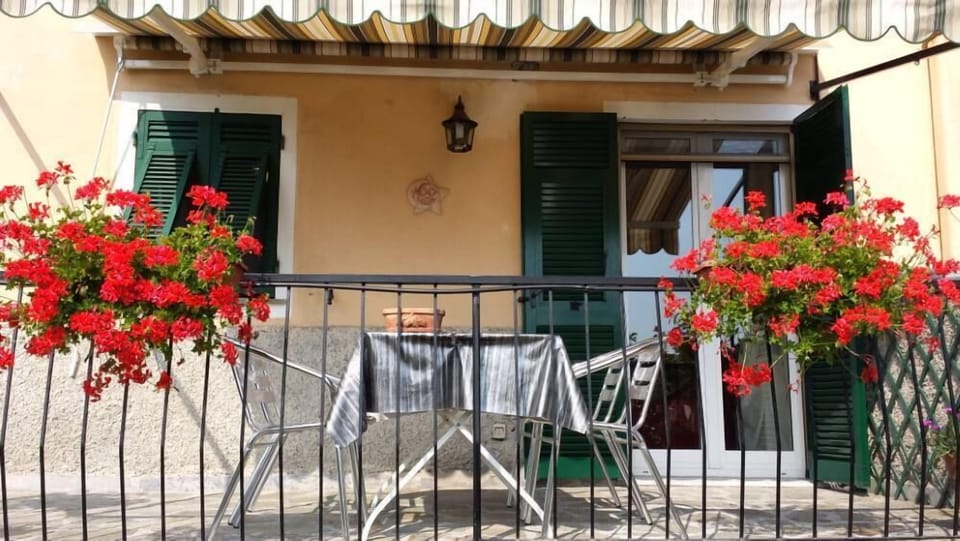 Terrace / Balcony