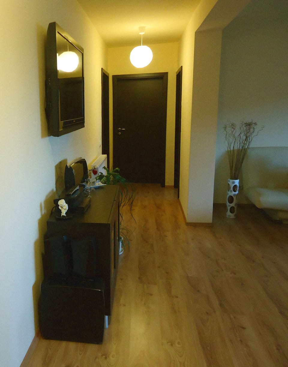 Entrance & Plasma TV
