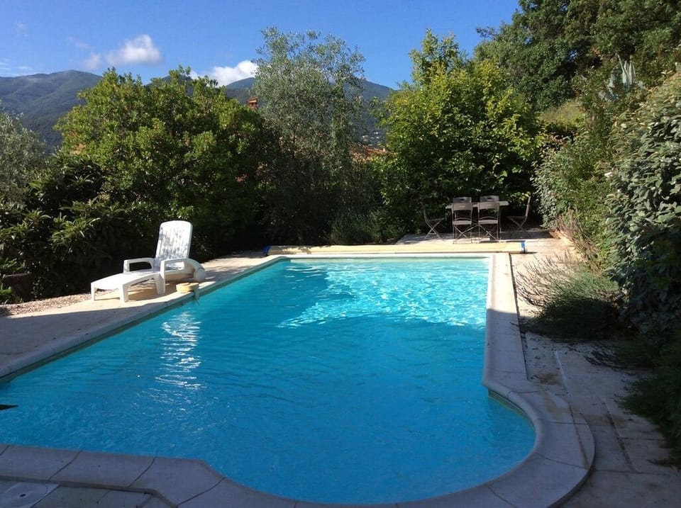 Pool and terrace