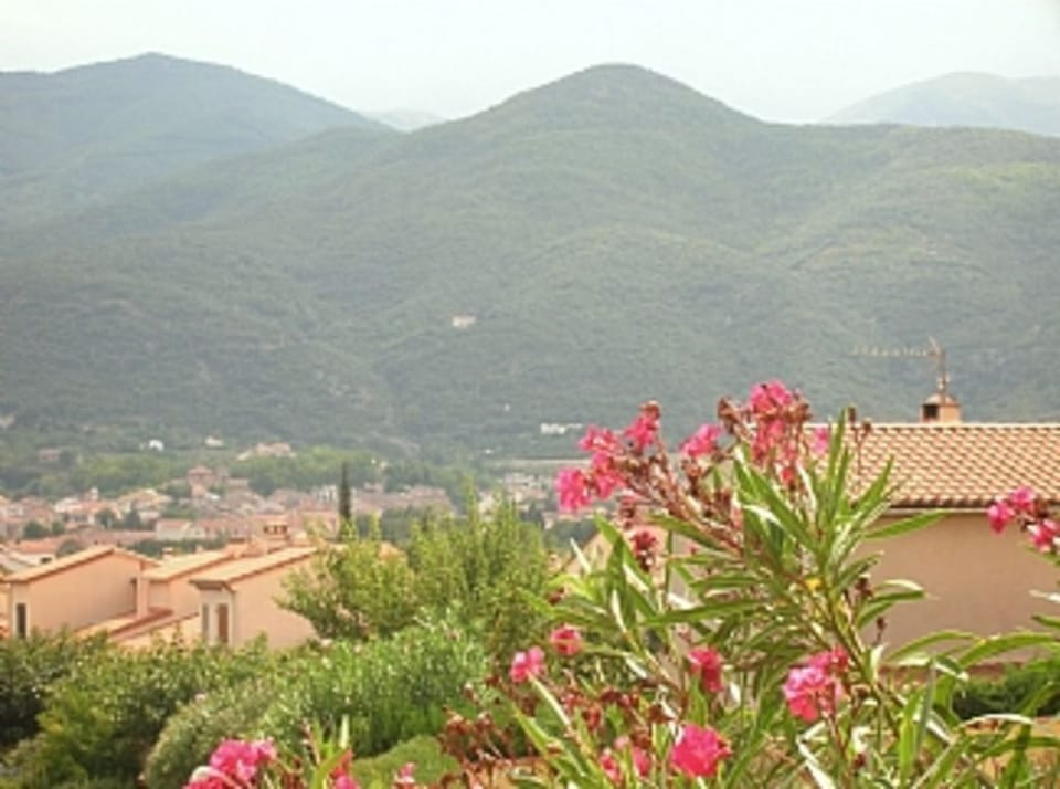 View from front terrace