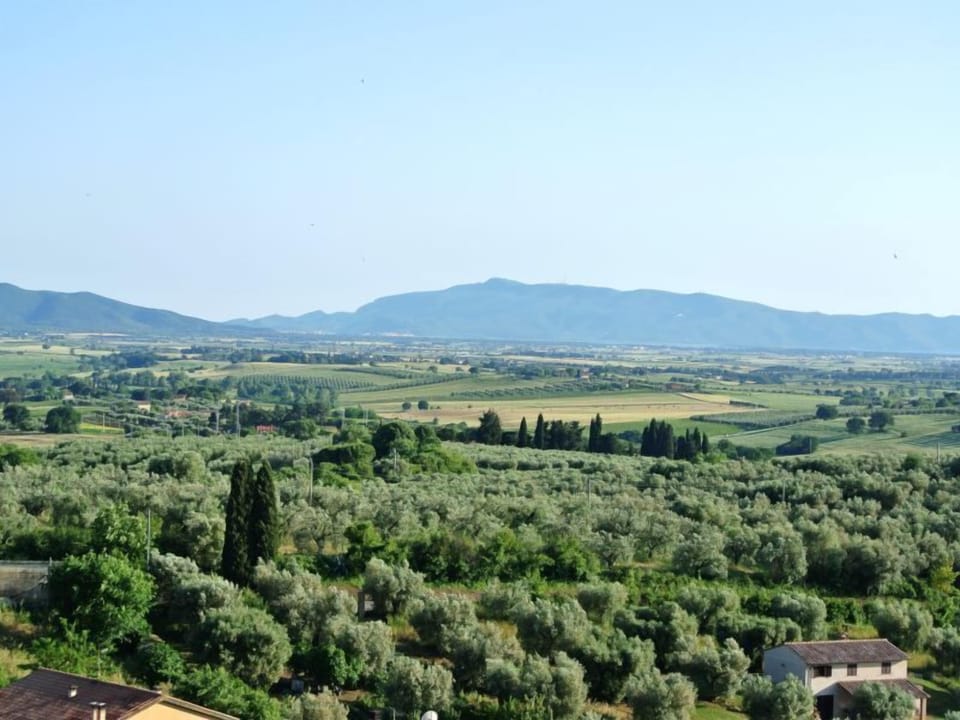 NONNO TOBIA - IL FONTANILE Apartment in Tuscany