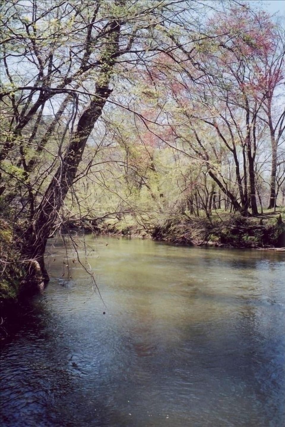 View from Dock (in early spring)