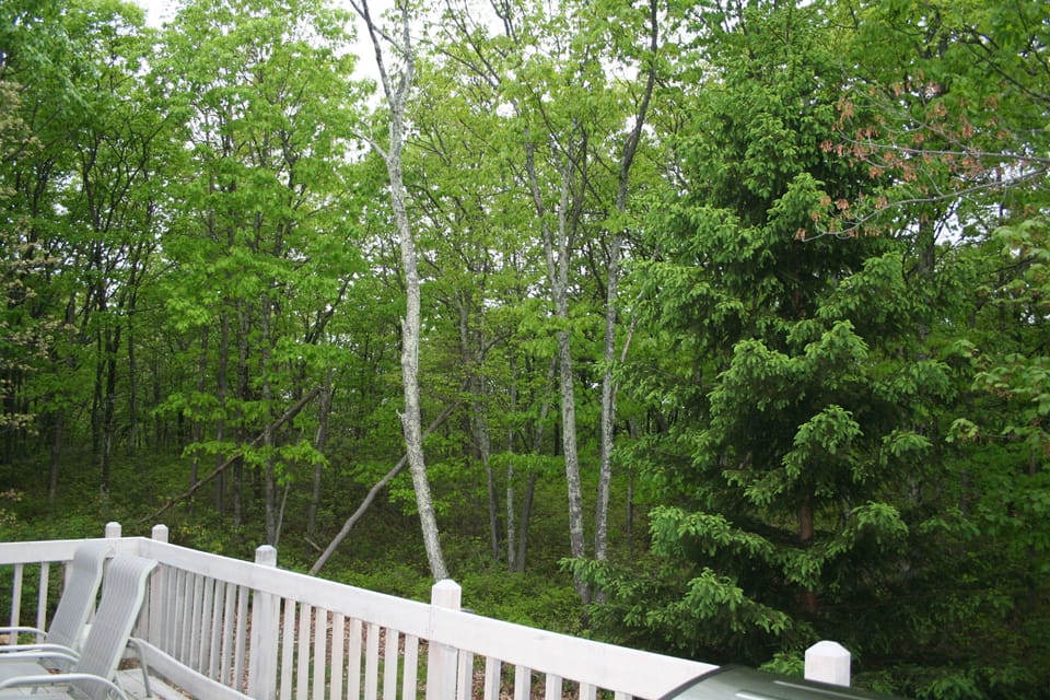 Secluded deck backs up to State Reserve