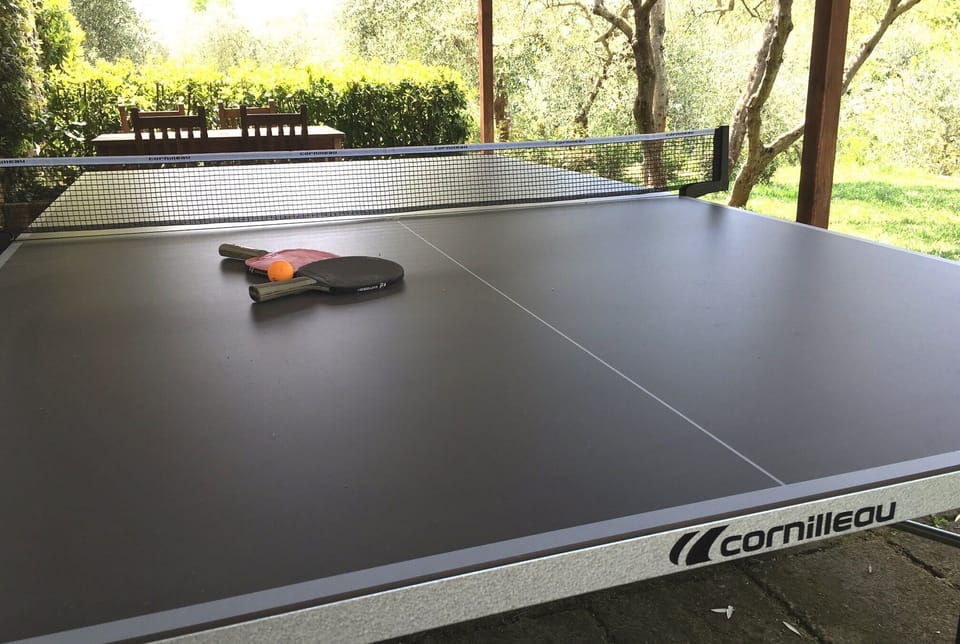 Tennis Table