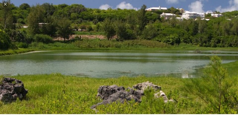 Spittal Pond