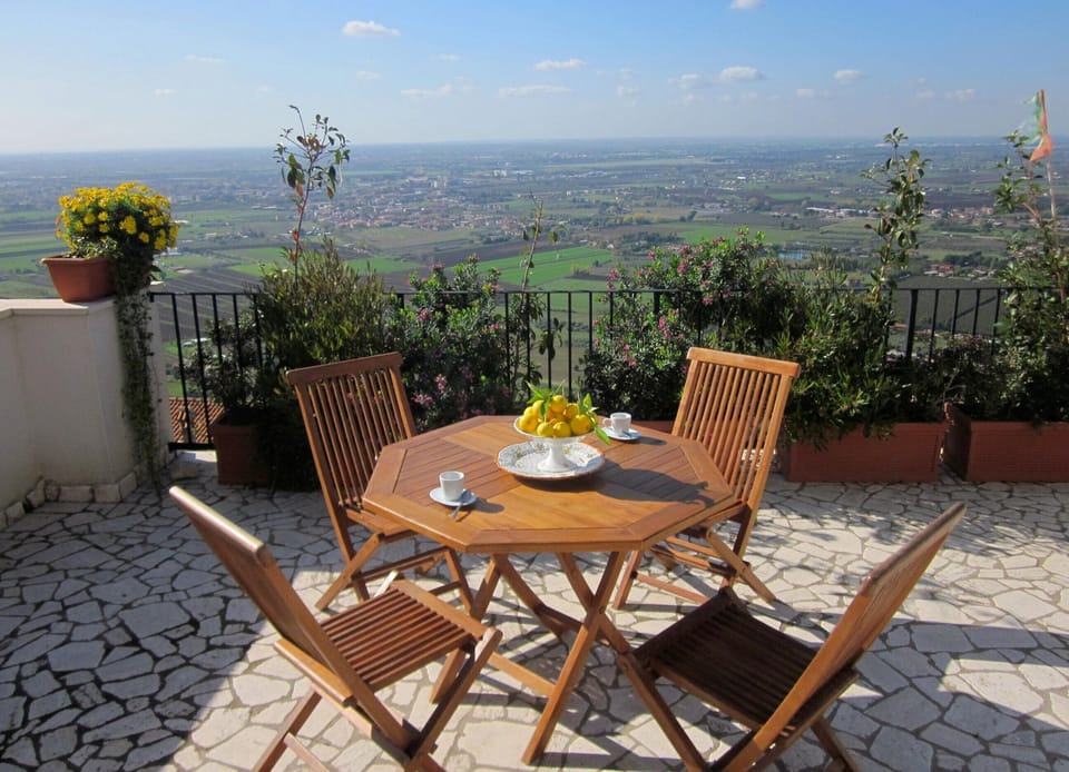 the terrace
