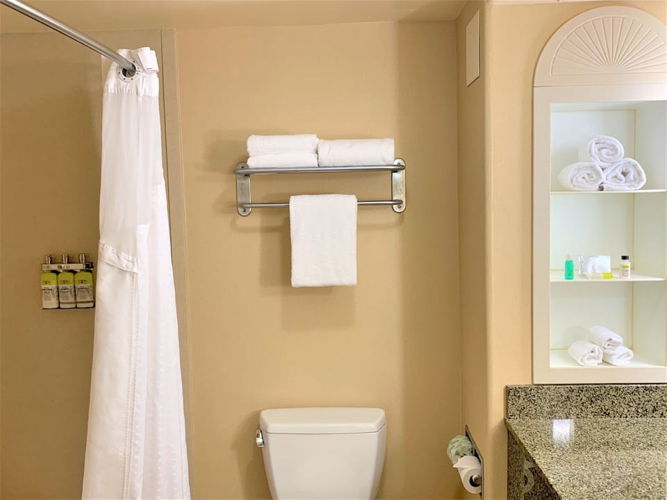 Hair dryer, towels