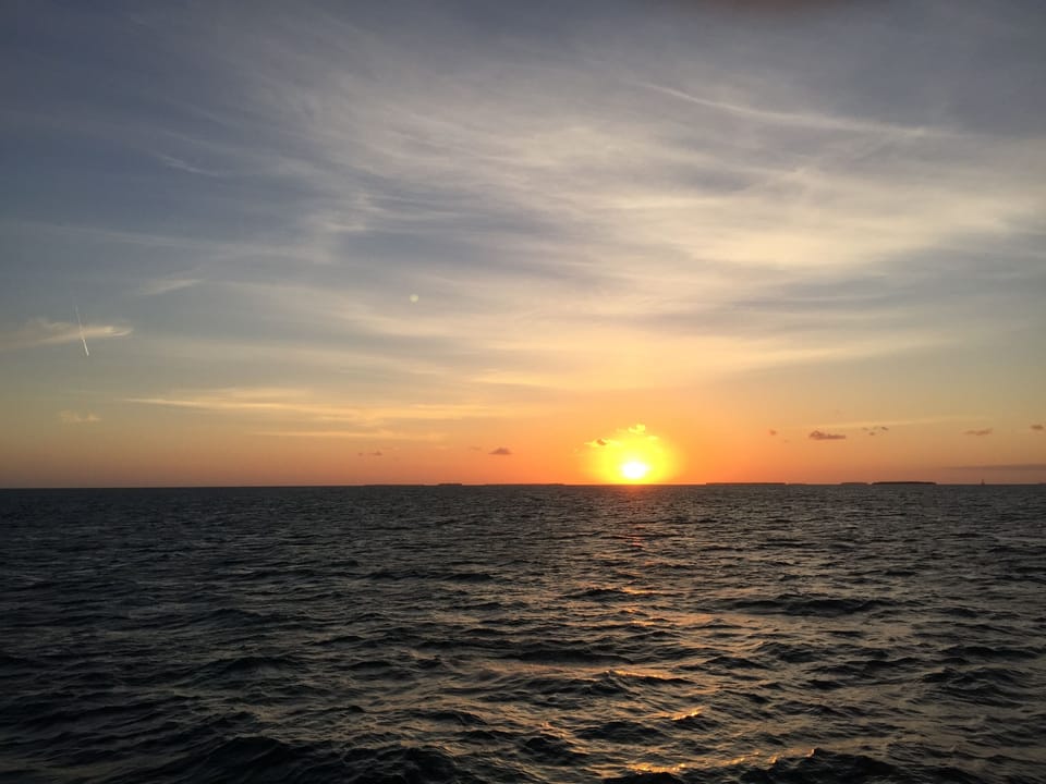 Be sure to take an evening Sunset Cruise