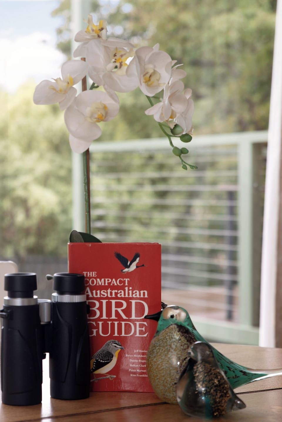 For the bird watchers. 