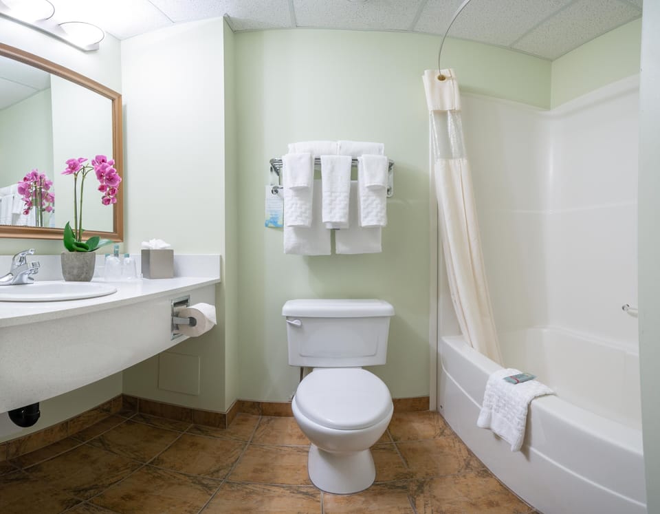 Combined shower/tub, free toiletries, hair dryer, bathrobes