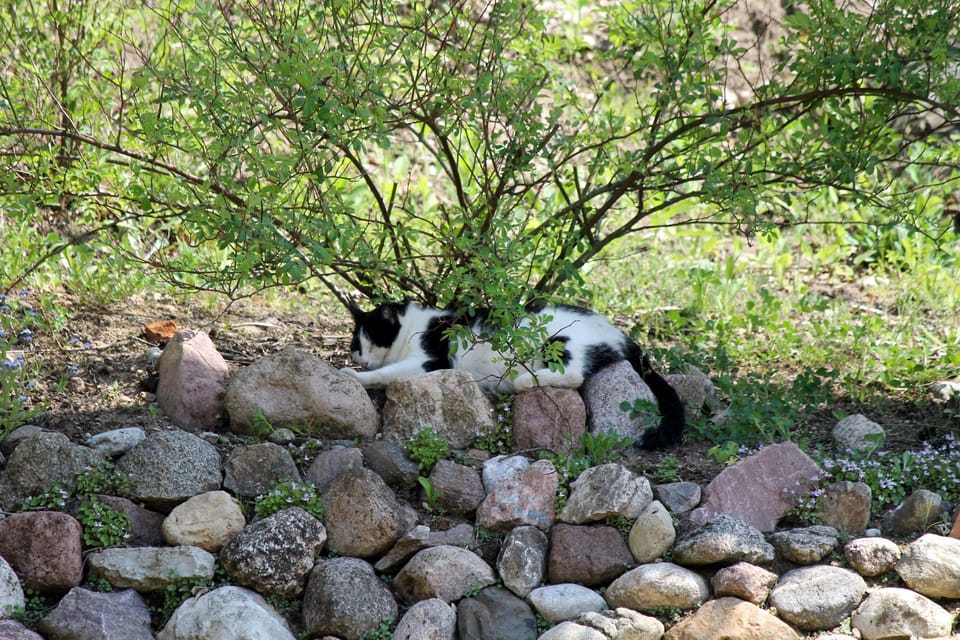Land view from property