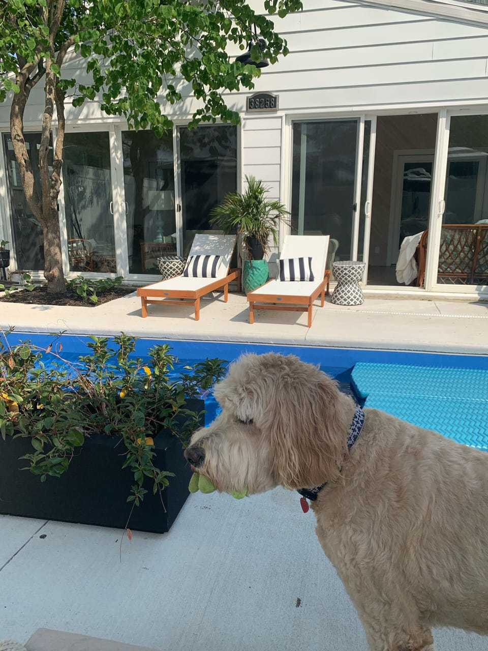 Terrace/patio